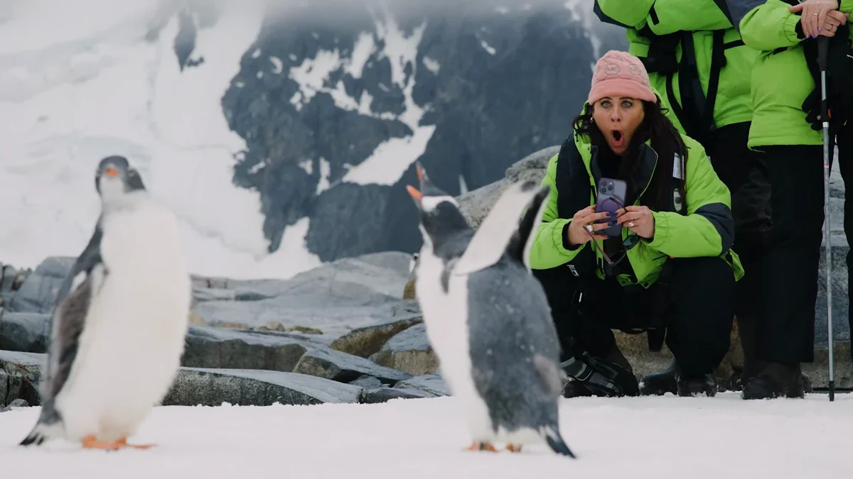 Expedition participants observing penguins on Antarctica's snowy shoreline